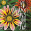 Always Yoga / New Age Collection Albumcover
