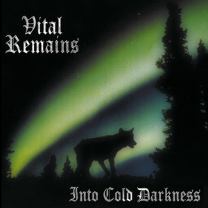 Into Cold Darkness cover
