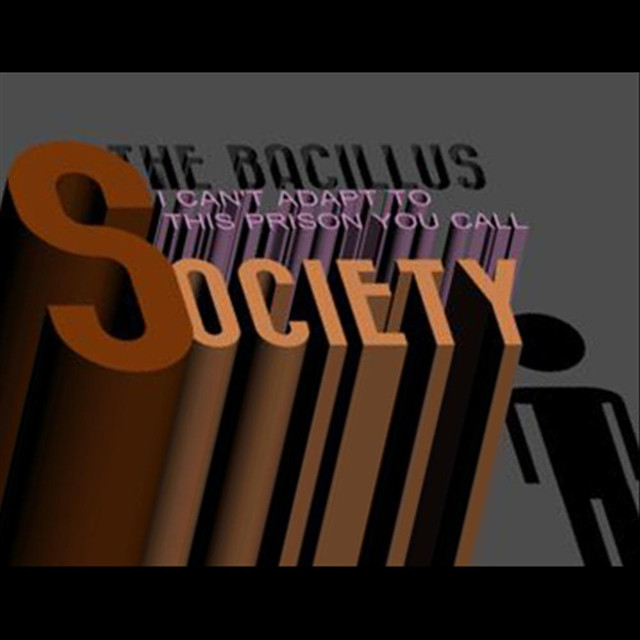 Bacillus Photo