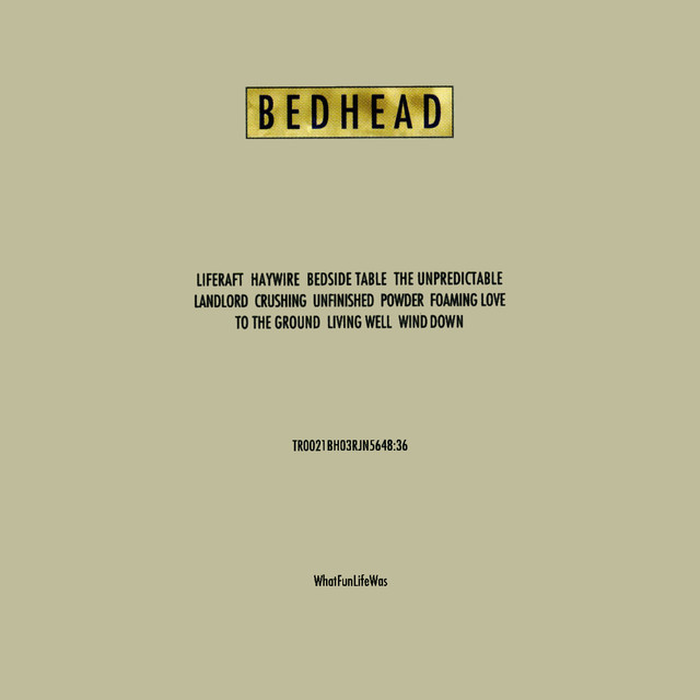 Whatfunlifewas cover