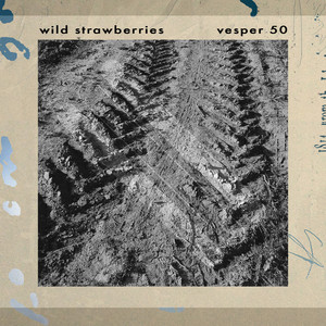 Vesper 50 album