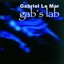 Gab's Lab Albumcover