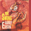 The Swinger/Mr. Swing cover