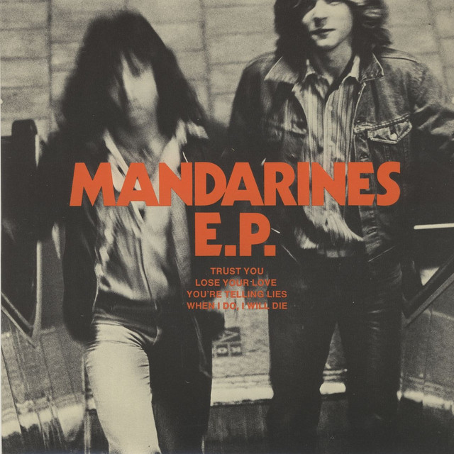 Four Mandarines Photo