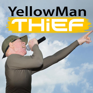Thief album