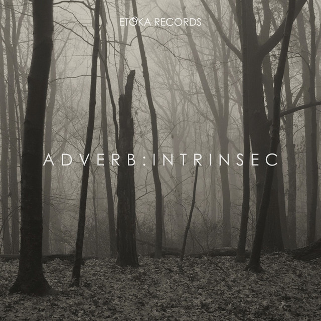 Adverb Photo