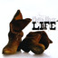 Life Albumcover