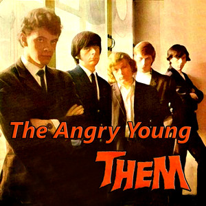 The Angry Young Them album