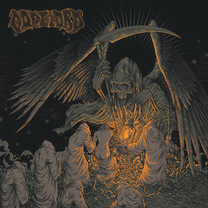 Navigator cover