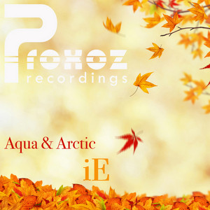Aqua And Arctic
