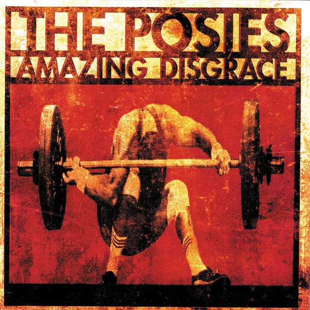Amazing Disgrace cover
