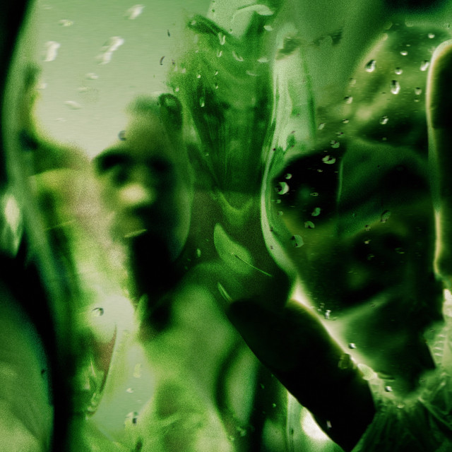 The Fear cover