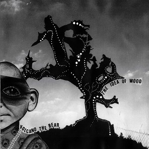 The Idea Of Wood Albumcover