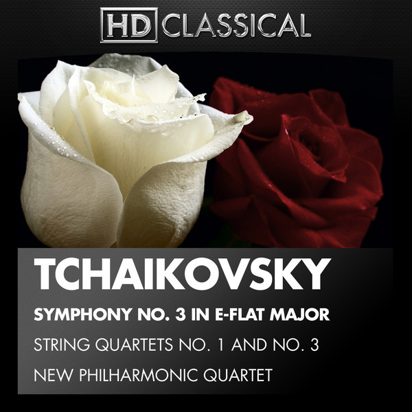 New Philharmonic Quartet Photo