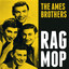 Rag Mop cover