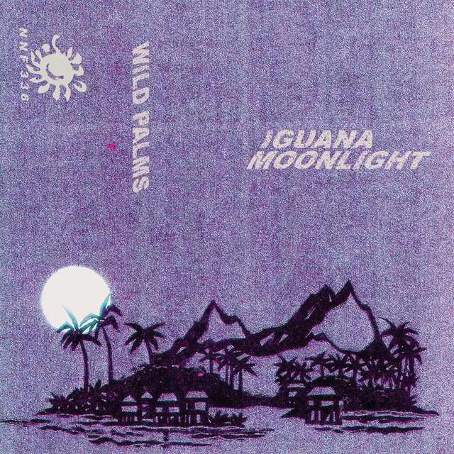 Iguana Moonlight Photo