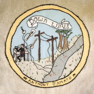 Down Wires cover