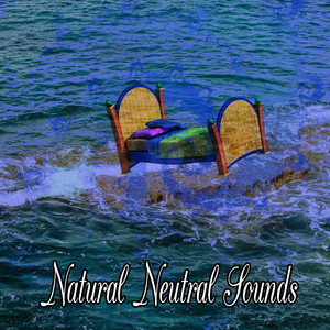 Natural Neutral Sounds album
