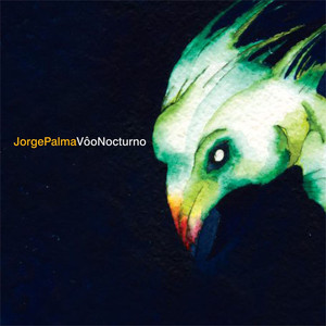 Voo Nocturno album