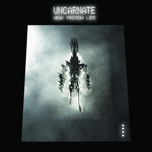 Uncarnate Photo
