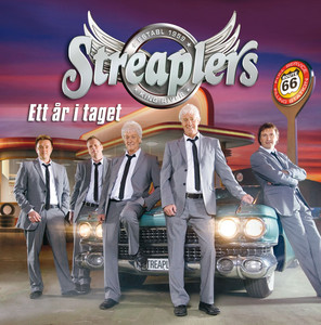 Ett år i taget cover