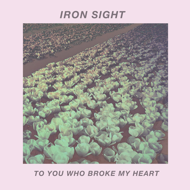 Iron Sight Photo
