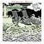 Chimney's Afire cover