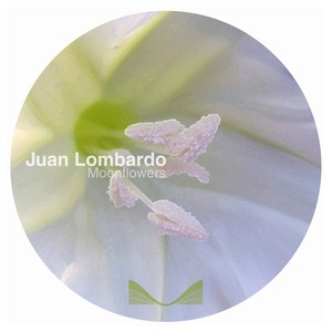 Juan Lombardo