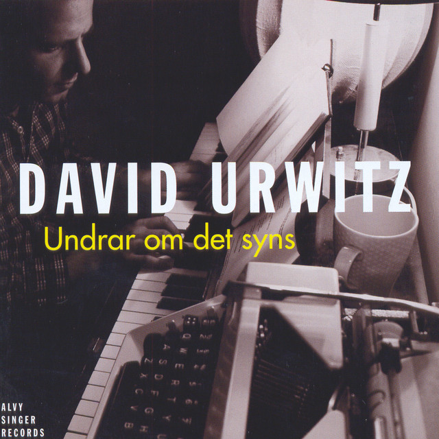 Undrar Om Det Syns cover