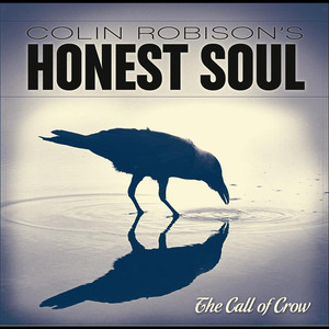 Colin Robison's Honest Soul
