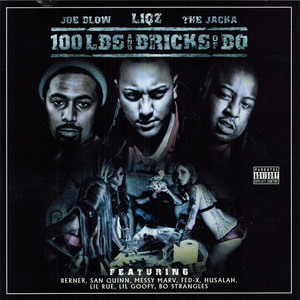 100 Lbs and Bricks of Bo album