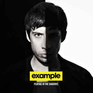 Playing in the Shadows album