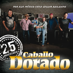 25 Aniversario album