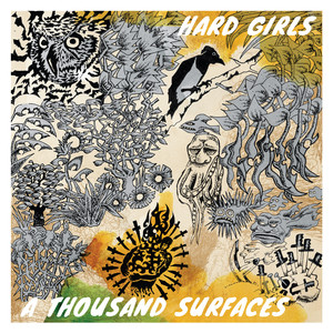 A Thousand Surfaces cover