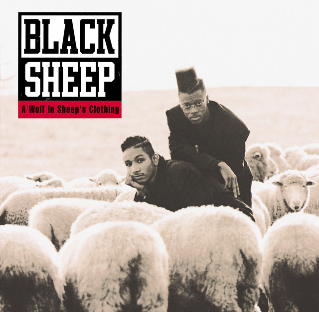 A Wolf In Sheep's Clothing cover
