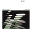 Chameleon cover