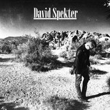 David Spekter profile