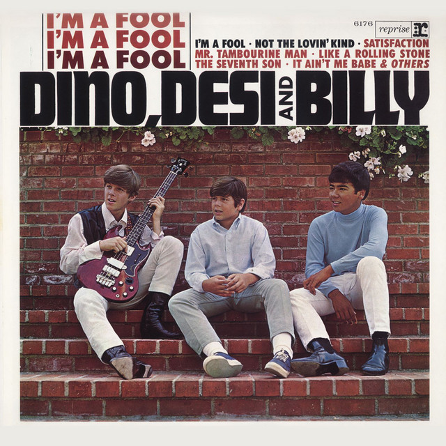 Dino, Desi & Billy Photo