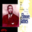 The Sky Is Crying: The History of Elmore James cover