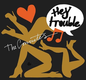 Hey Trouble cover