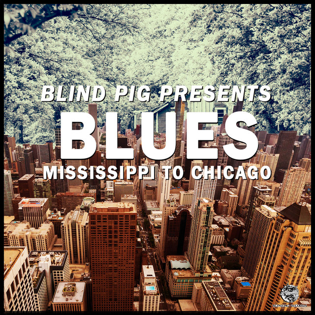 Blind Pig Presents: Mississippi To Chicago Blues cover