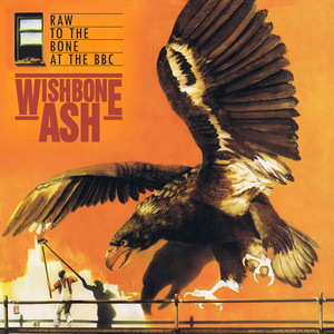 Raw to the Bone at the BBC album