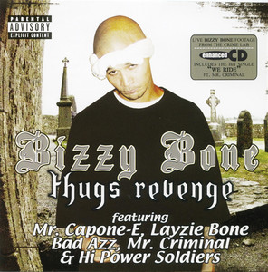 Thugs Revenge cover