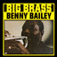 Big Brass cover