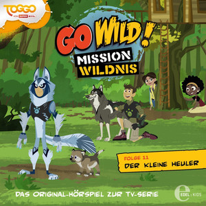 Folge 11: Der kleine Heuler (Das Original-Hörspiel zur TV-Serie) Audiobook