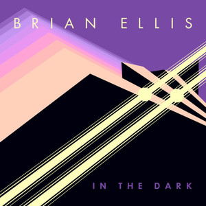 In the Dark cover