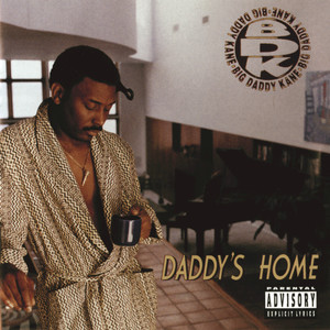Daddy's Home cover