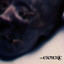 ...An Illusion of Sacred Circumstances cover