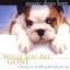 Music Dogs Love: While You Are Gone Albumcover