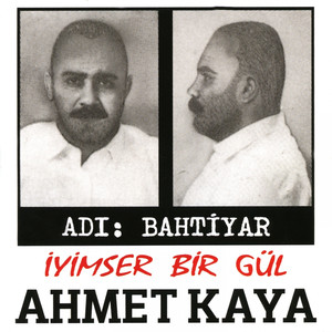 İyimser Bir Gül cover